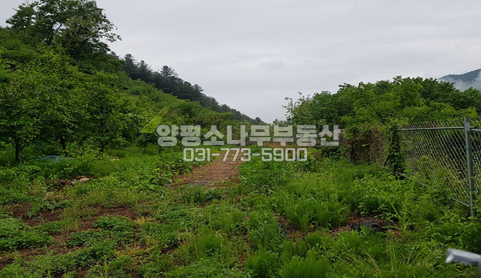 양평군 서종면 수입리 국유림 둘러싸인 곳 맹지