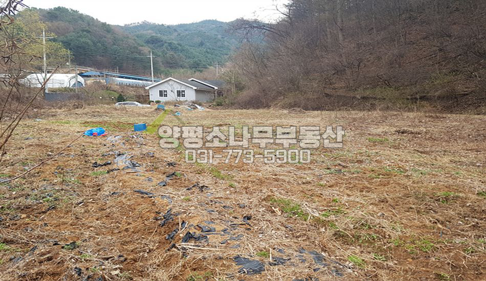 양평군 서종면 정배리 진짜 산자락!!평지 조용한곳
