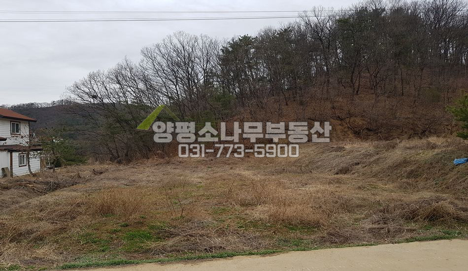 양평군 양서면 도곡리 인기만점 자연스런 산자락