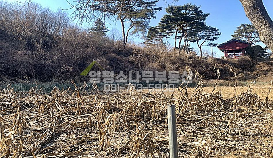 양평군 서종면 수입리 대로변,학교인근 알땅/서종IC2분