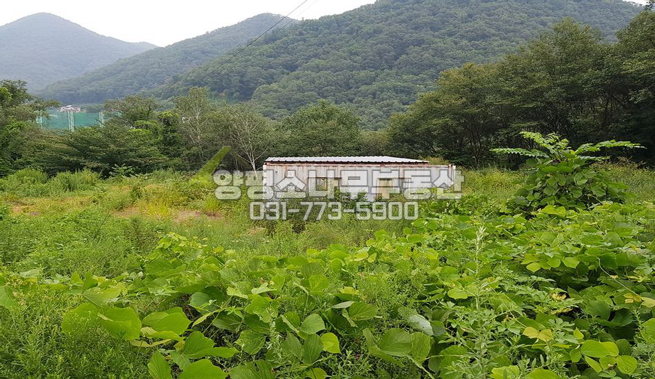 양평군 서종면 문호리 북쪽 트인전망 산자락