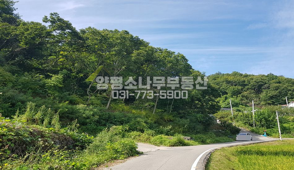 양평군 강상면 송학리 원형질 임야/개발부지