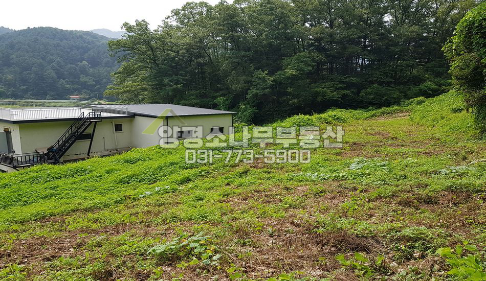 양평군 서종면 정배리 산자락 남향전망/정배초 도보