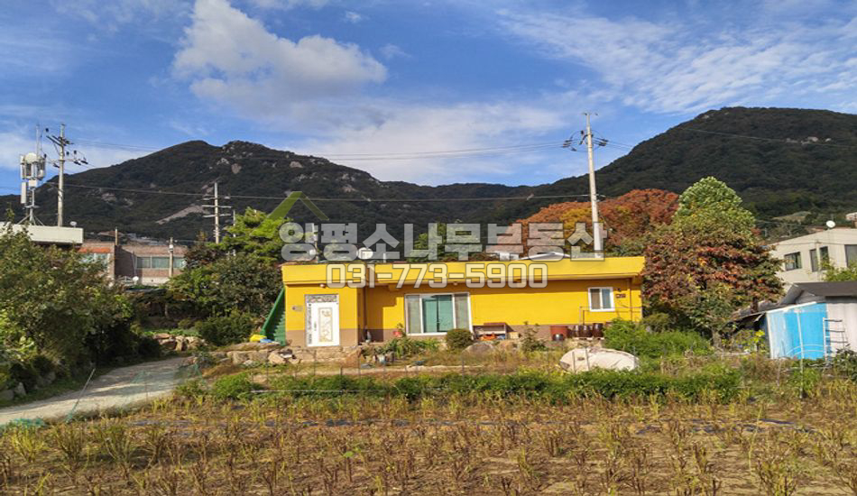 양평군 양평읍 백안리 넓은 텃밭 노랑색철근집