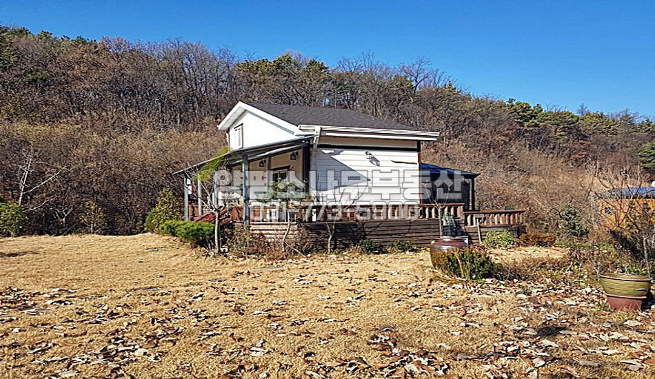 양평군 개군면 공세리 원가이하 넓은 땅/주말주택/과실수多