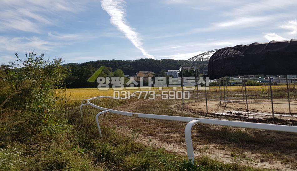 양평군 양서면 국수리 국수역 도보 진흥농지