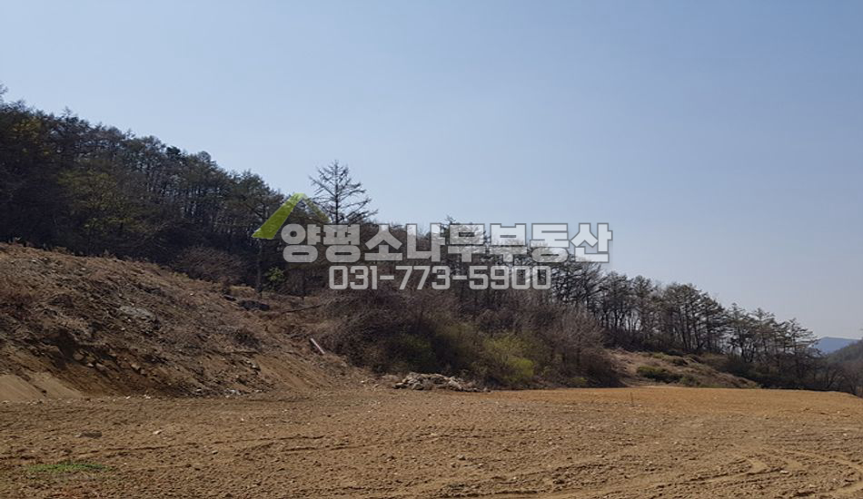양평군 지평면 대평리 [보류]원형질개발임야
