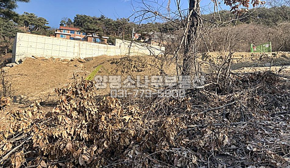 양평군 옥천면 용천리 [보류]분할매매가능/원형질임야