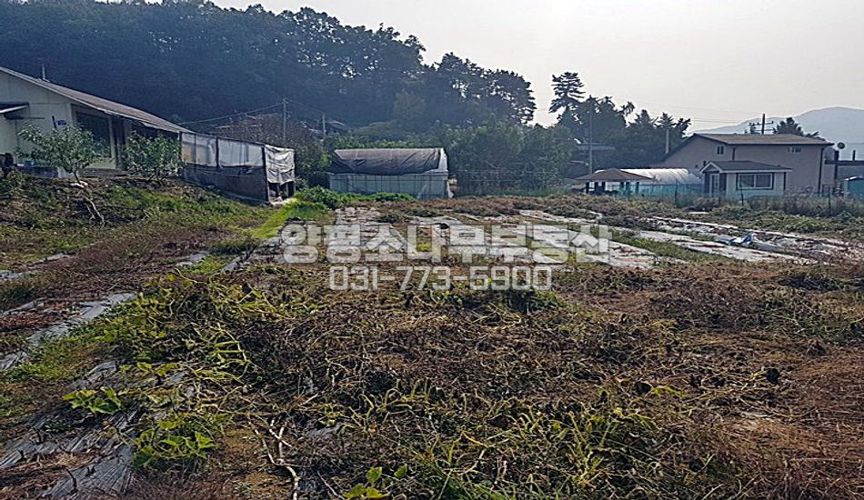 양평군 지평면 지평리 자연스런 평지마을/지평역1.7KM