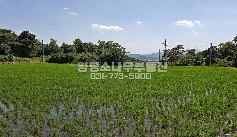 양평군 개군면 내리 추읍산이 받치는 한적한땅