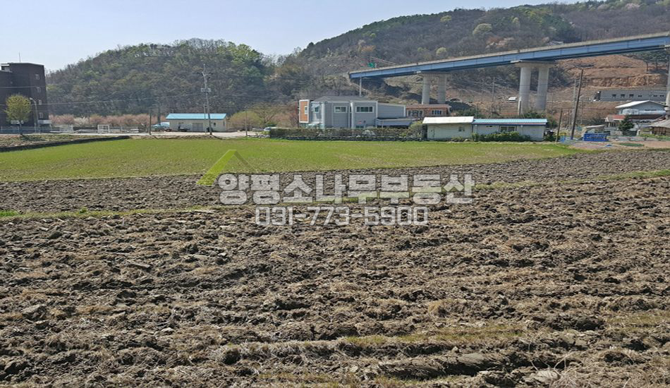 양평군 용문면 다문리 지방도 인근 탁트인 평탄지