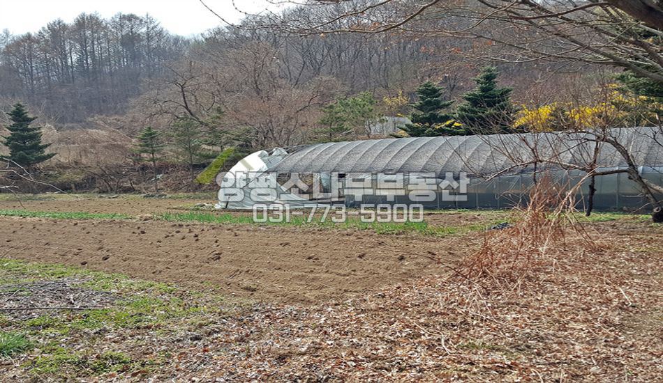 양평군 용문면 연수리 넓은 평탄지..인근 개울