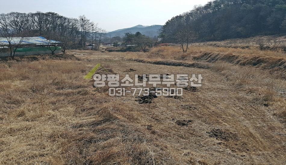 양평군 용문면 중원리 평탄지/구거접함/축사인근