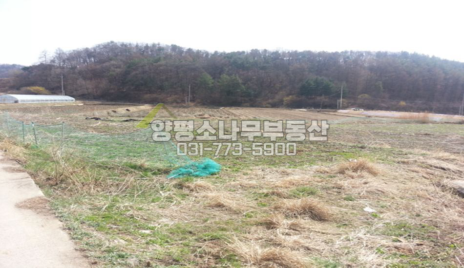 양평군 지평면 월산리 지평면4km 평지 농촌마을