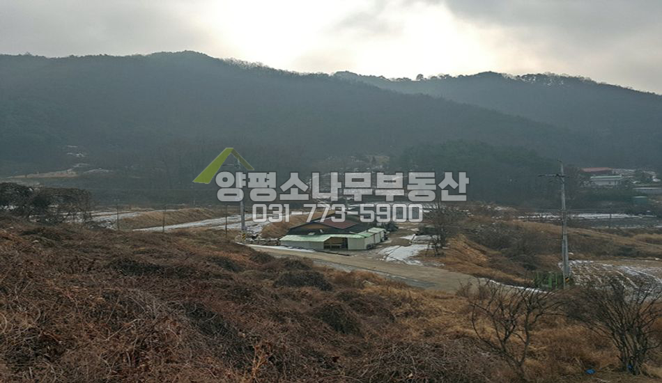 양평군 개군면 상자포리 대규모 단지 인근 강조망 