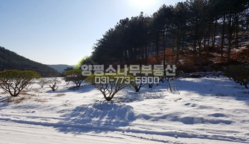 양평군 용문면 덕촌리 지방도 인근 아늑한..조현초 학군
