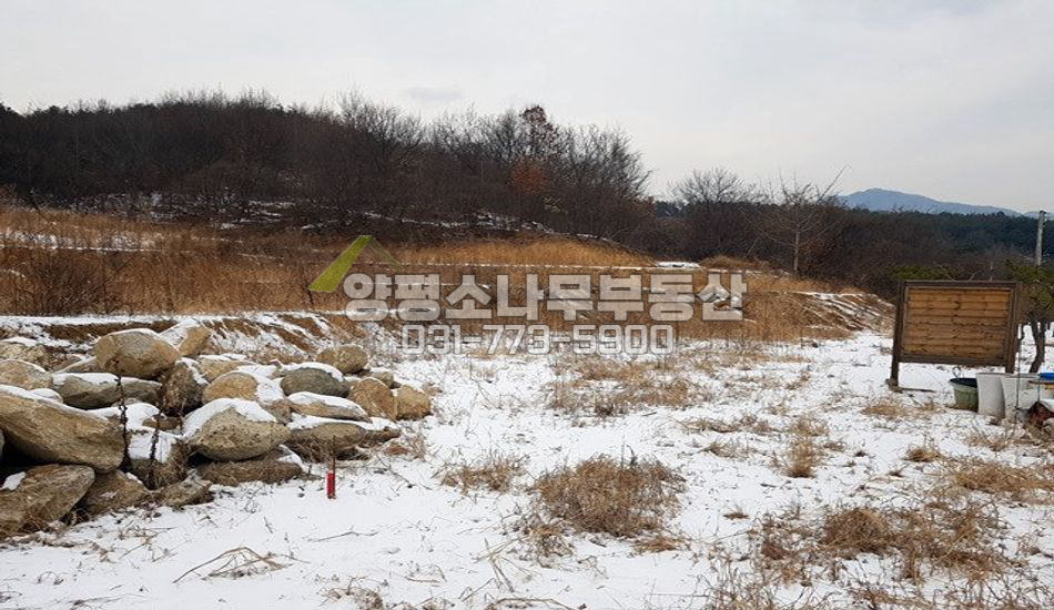 양평군 용문면 덕촌리 용문사 가는길..평지..단지내