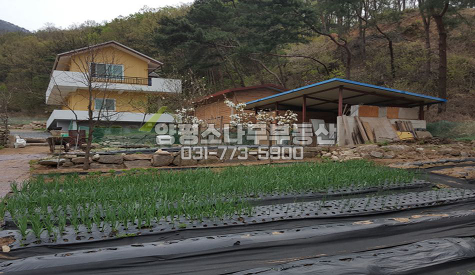 양평군 개군면 내리 산자락 구거접한 귀한주택/한적한입지