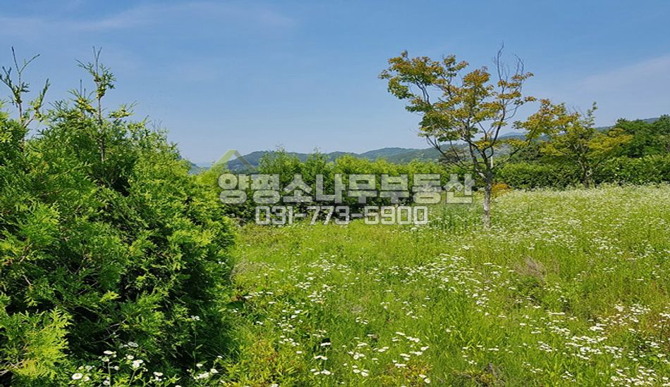 양평군 옥천면 아신리 아신역500m도보가능
