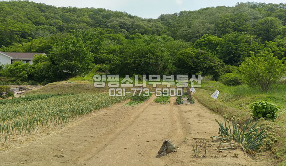 양평군 양평읍 평탄지 남향전망
