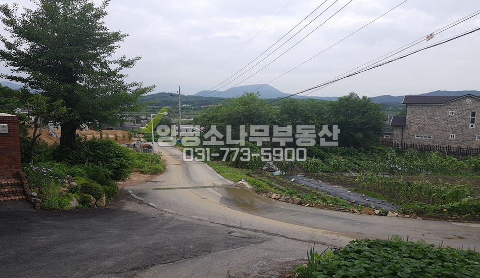양평군 강상면 교평리 거의 평지 강조망/토목요함
