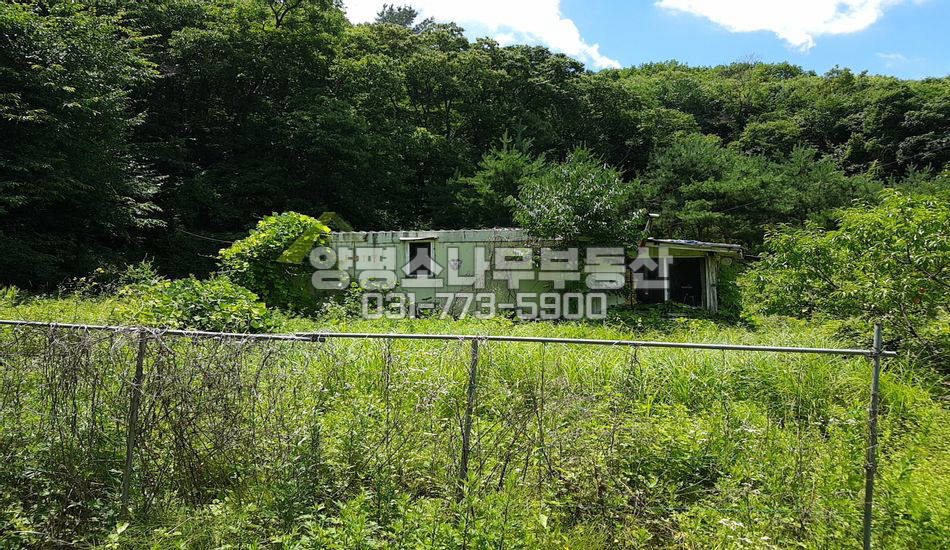 양평군 강하면 전수리 나홀로 산속 끝 땅