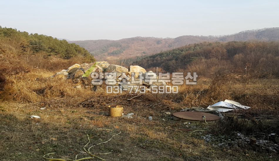 양평군 강하면 동오리 남향 산조망 잘생긴땅/지하수有