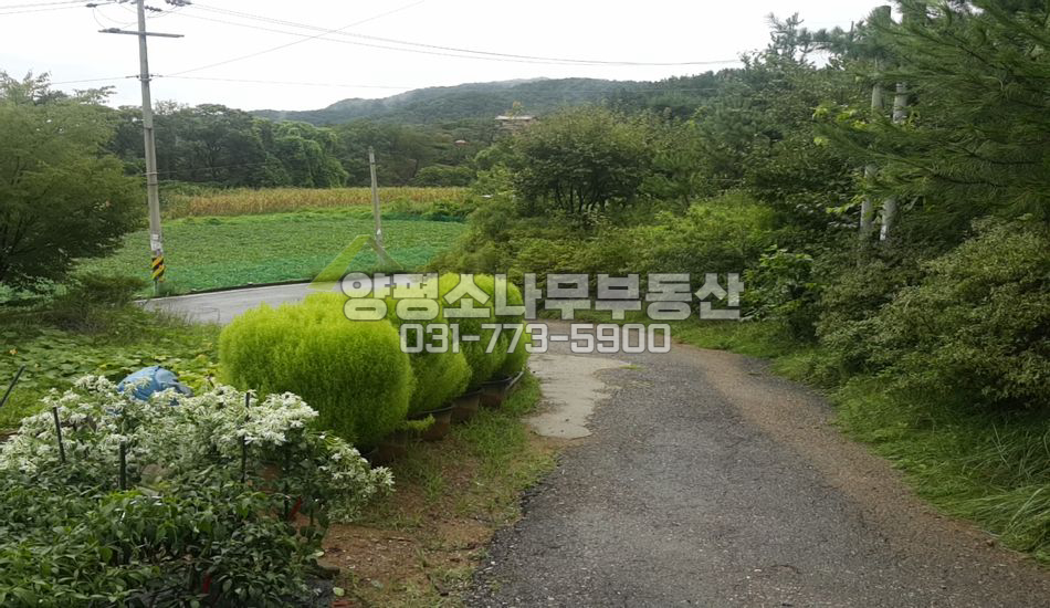 양평군 강하면 왕창리 넓은진입로/접근성 굿/평지
