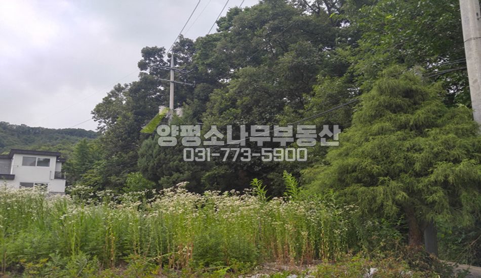양평군 강하면 동오리 특급 접근성 지방도 200미터