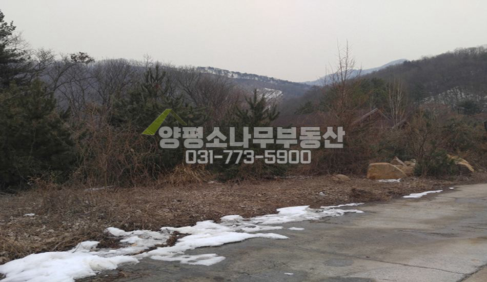 양평군 강하면 항금리 마을 안쪽..단지형..평지
