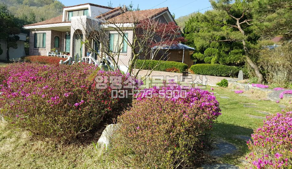 아산시 송학면 동화리 낚시터 저수지 인근 정원이 예쁜집
