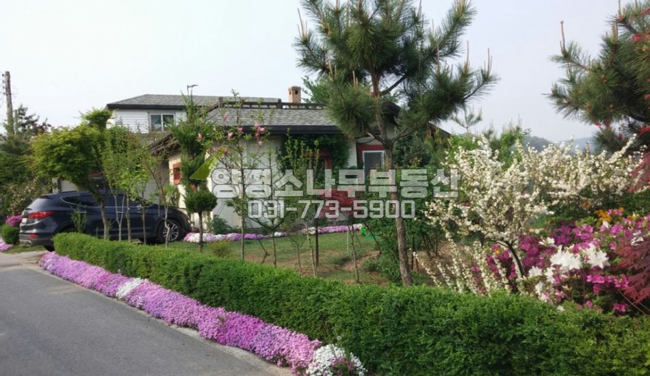 아산시 도고면 신유리 전철역 10분 유실수 많은집