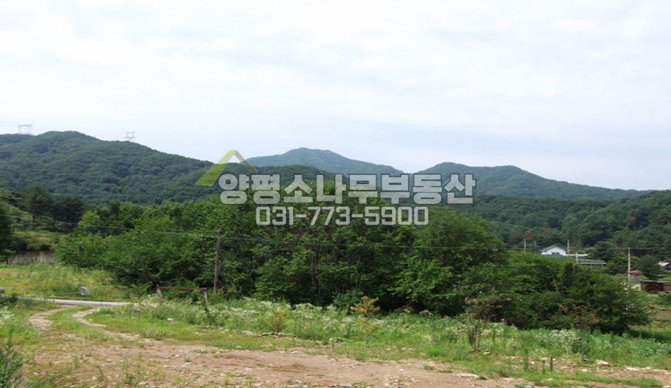 양평군 서종면 서후리 평지 산자락 저렴한 넓은터
