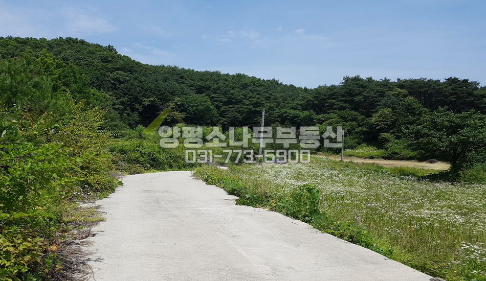 양평군 용문면 오촌리 한적한 곳 저렴한 땅