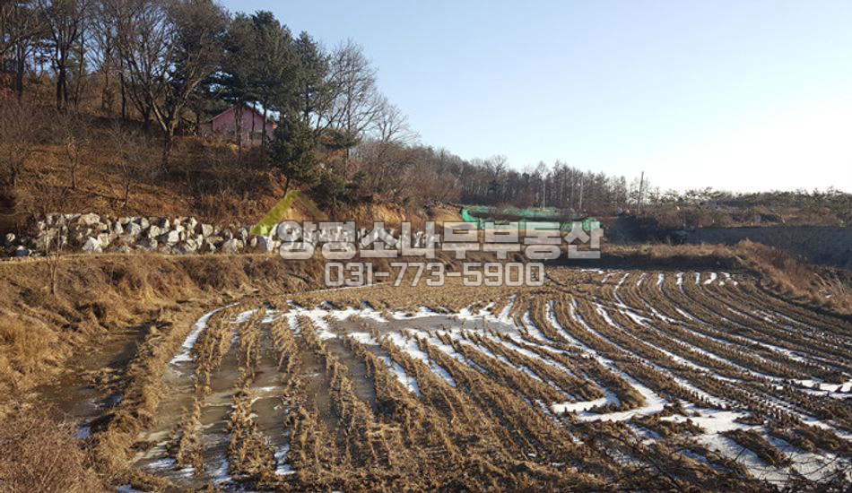 양평군 개군면 주읍리 한적한 농촌마을
