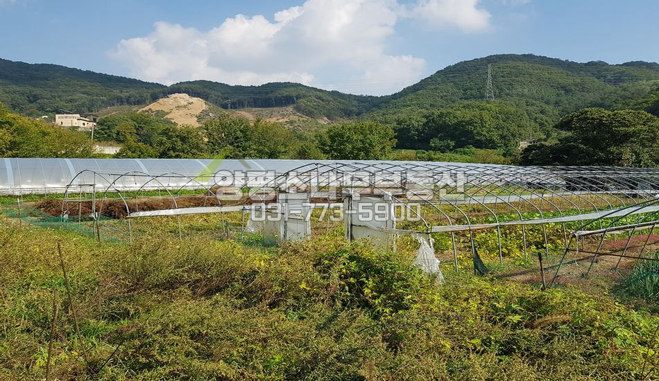 양평군 양평읍 대흥리 읍생활권 농촌마을 평지 남향전망