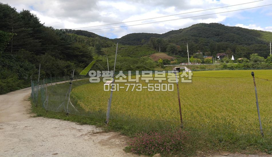 양평군 단월면 명성리 지방도 인근 잘생긴땅