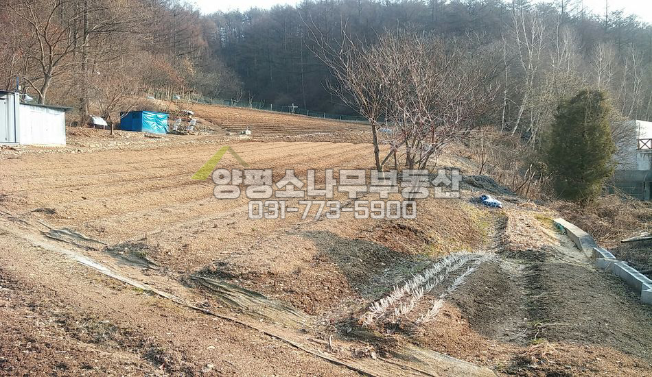 양평군 청운면 삼성리 6번국도 인근 저렴한 관리지역 밭