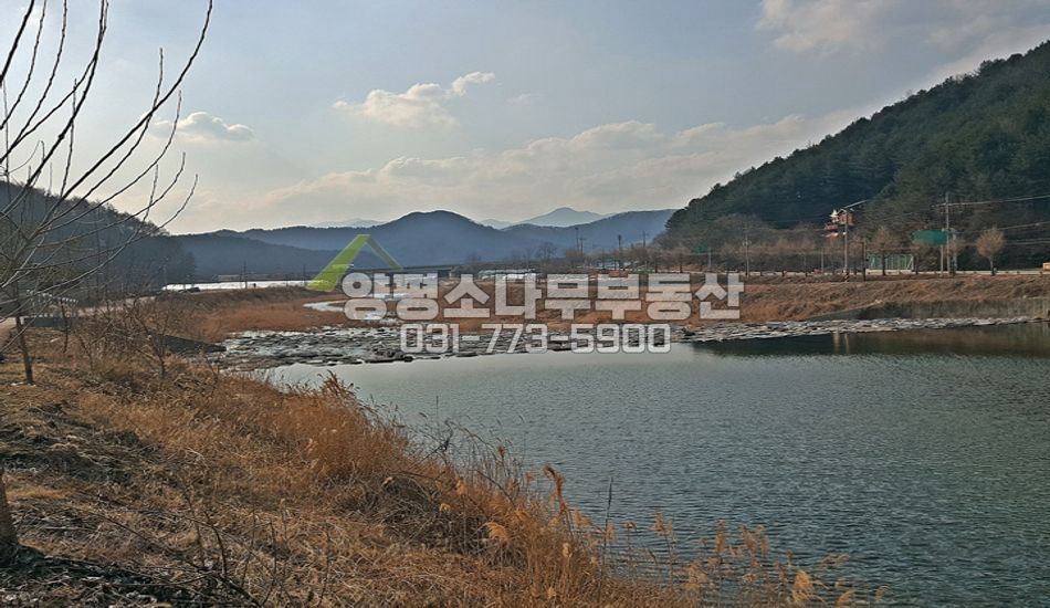 양평군 청운면 용두리 청정하천 인근 잘생긴 땅/정류장 100M