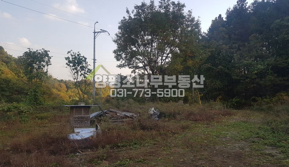 양평군 용문면 조현리 깊숙한 곳 산자락