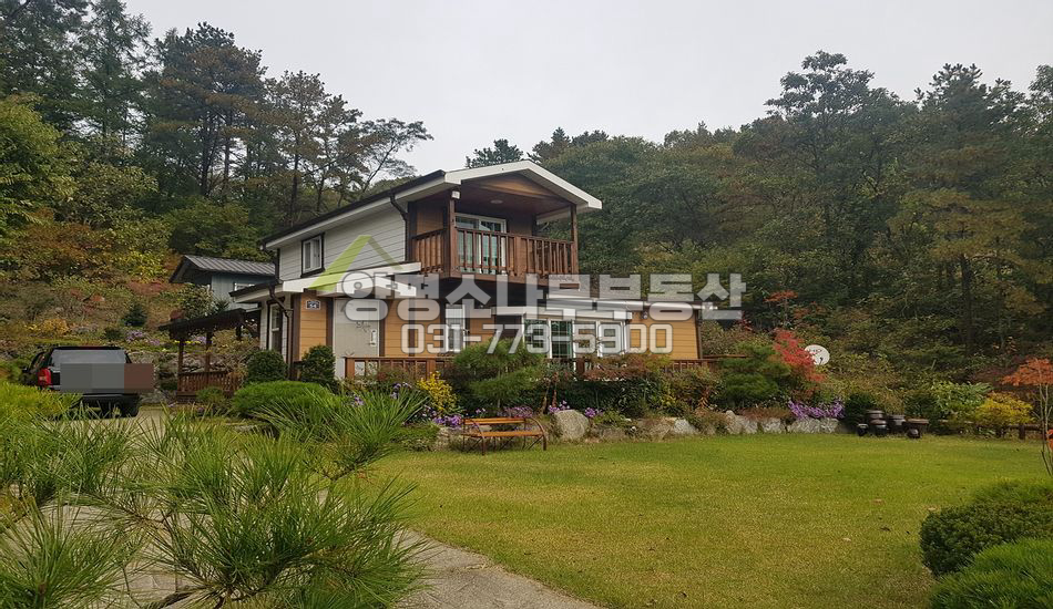 양평군 용문면 조현리 [보류]산자락 유실수 많은집