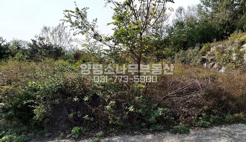 양평군 양평읍 봉성리 완만한 지형 토목완료!!
