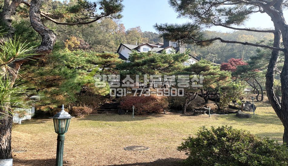 양평군 양평읍 신애리 조경수 많은 전망좋은 주택