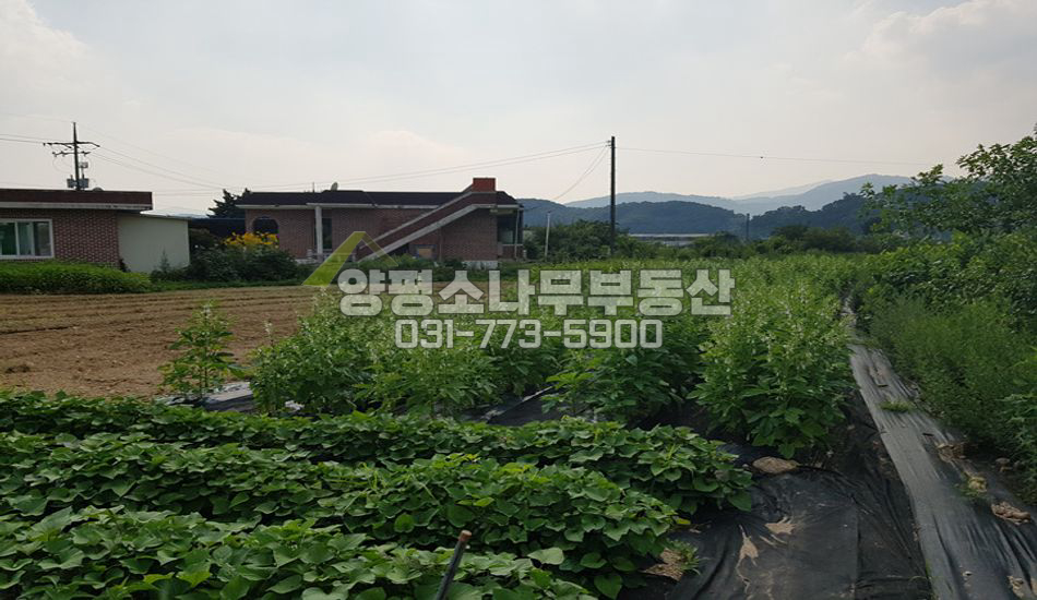 양평군 옥천면 용천리 지방도 접근성 최상/진흥구역