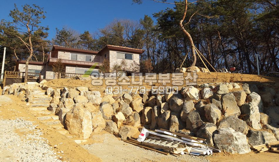 양평군 옥천면 옥천리 지대 높은곳 신축철근