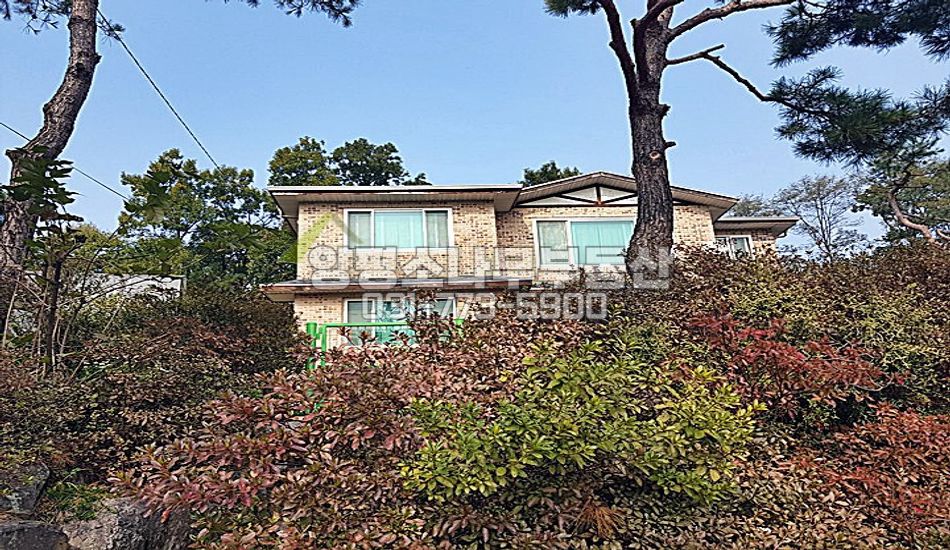 양평군 양평읍 회현리 마을상단 정남향 전망좋은집