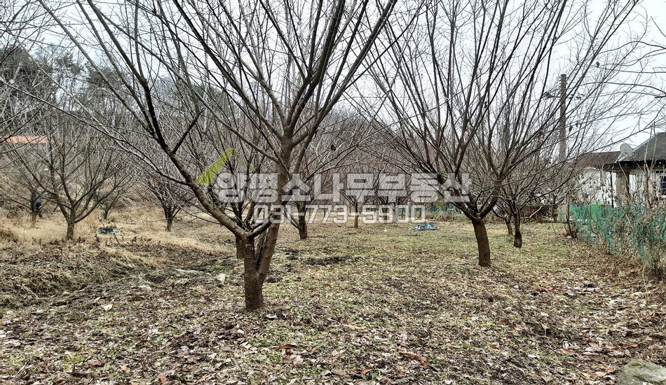 양평군 용문면 신점리 [보류]개울인근/산자락/평지