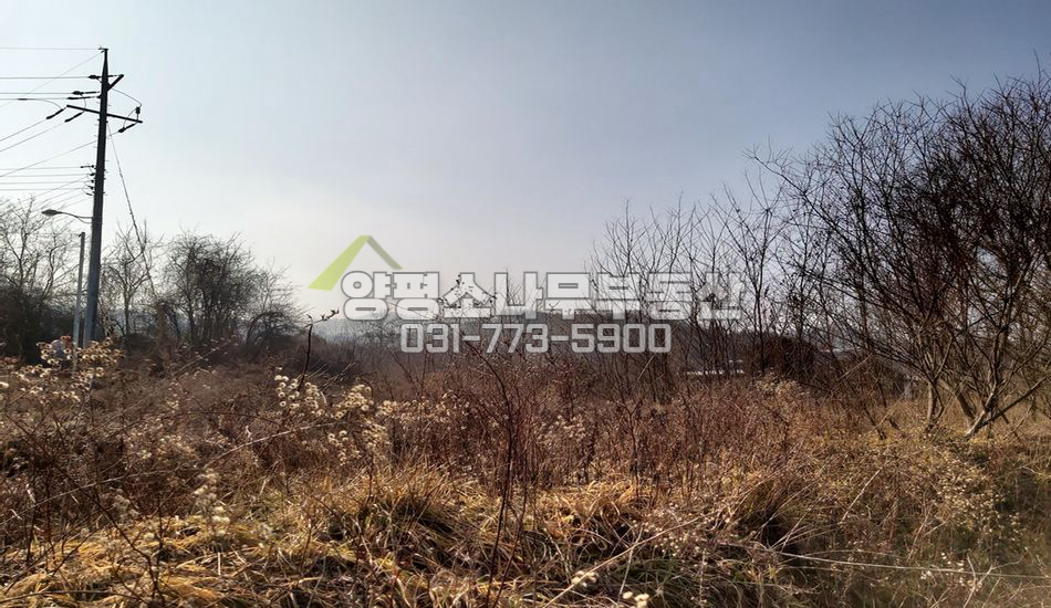 양평군 양동면 단석리 동양평ic인근 평지주택지