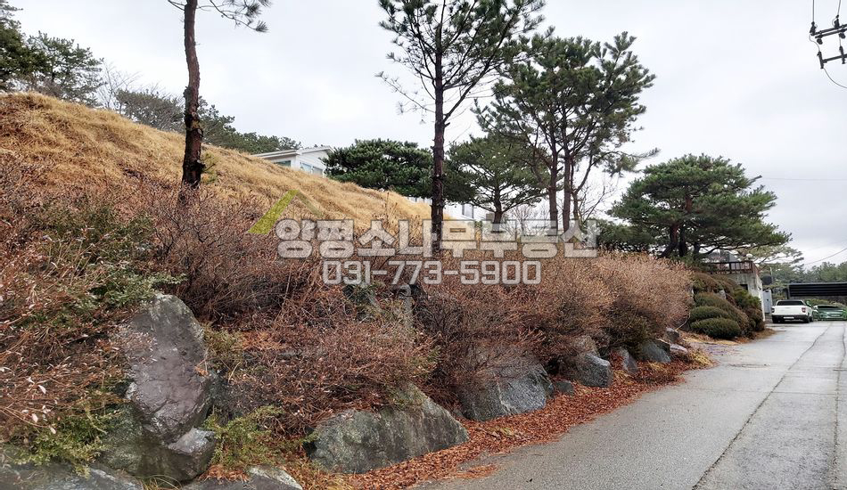 양평군 양서면 복포리 아늑한 단지 강조망 필지