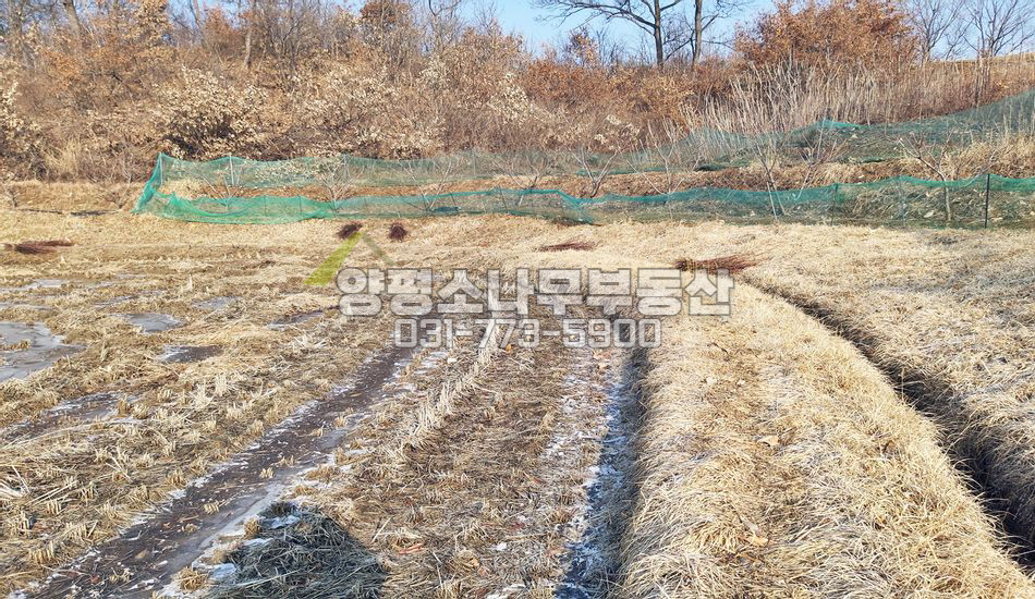 양평군 지평면 송현리 지평역 인근 건축가능 농지